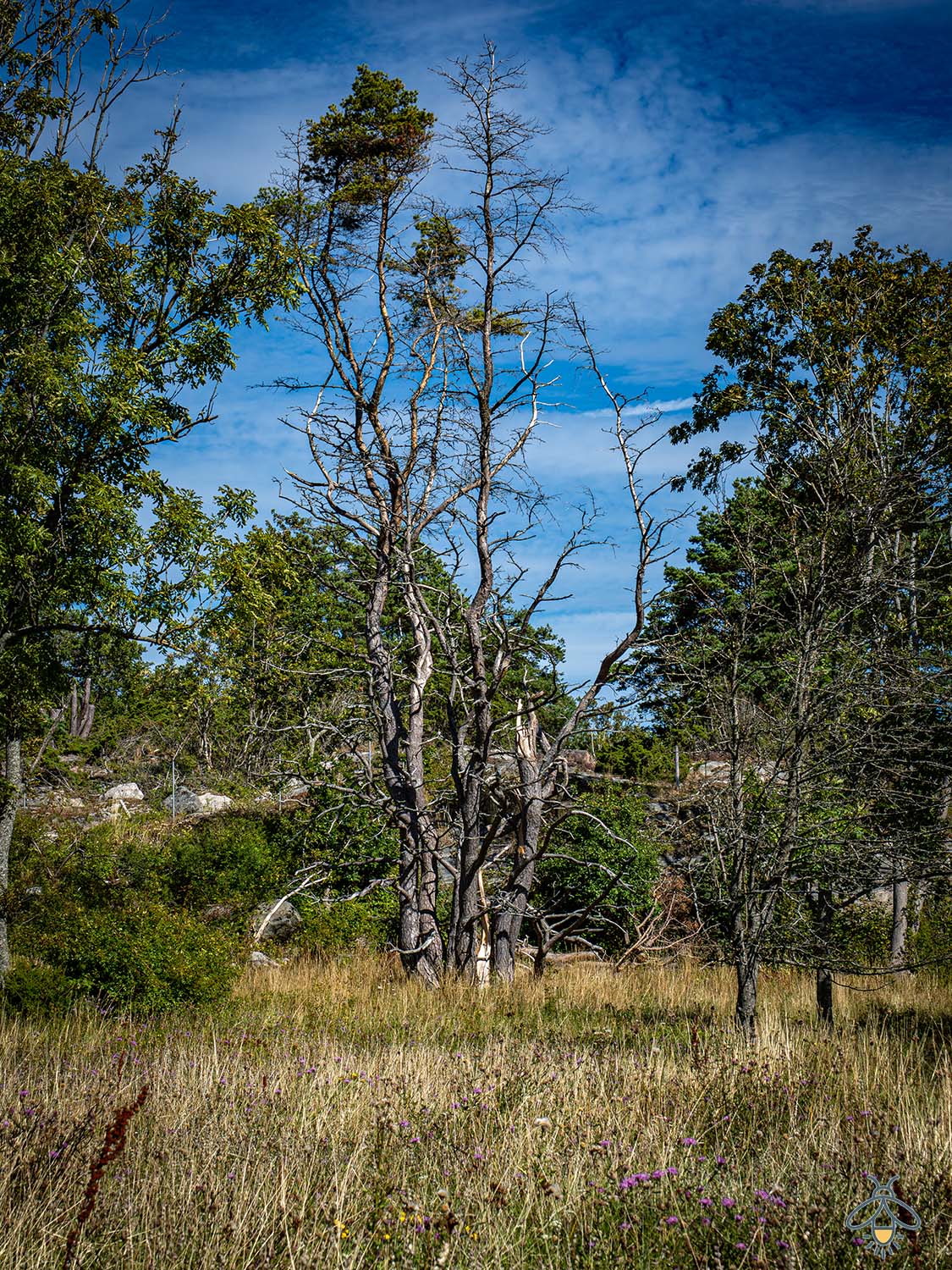 Naturreservate